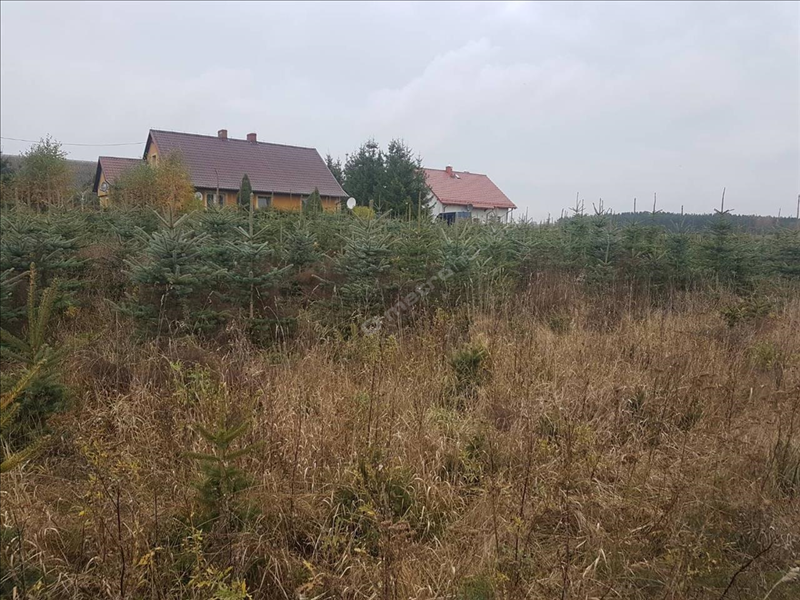 For sale, plot , Kościerski, Stara Kiszewa gm, Stare Polaszki