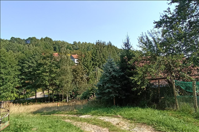 House  for sale, Strzyżowski, Wiśniowa gm, Niewodna