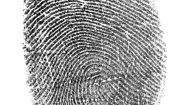 Black fingerprint isolated on white