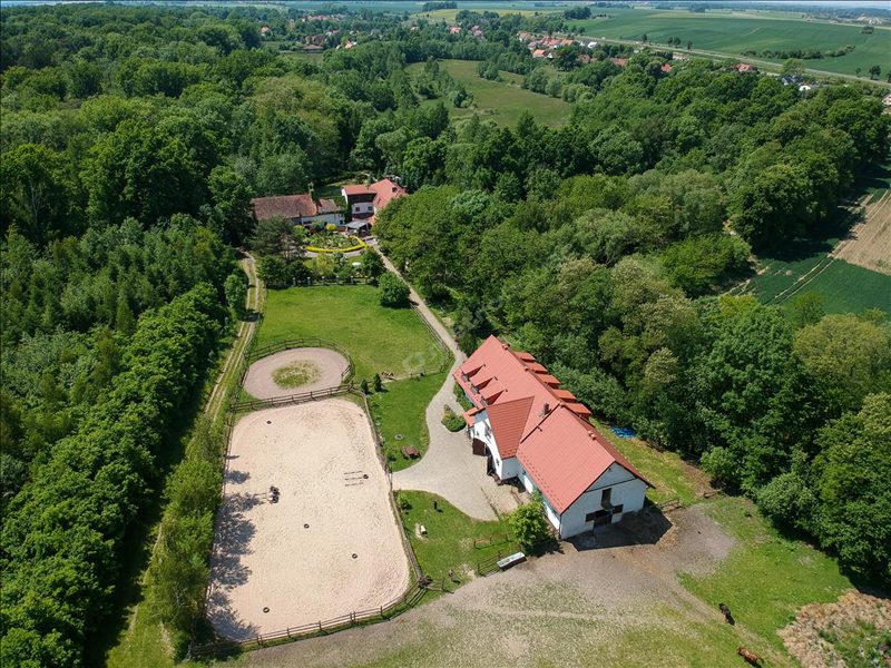 For sale, structure , świdnicki, Marcinowice gm, Szczepanów