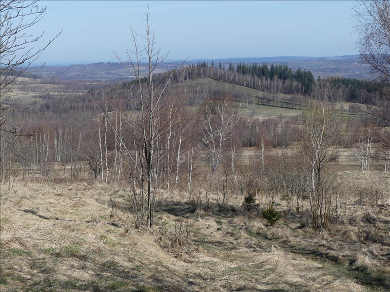 For sale, plot , Jeleniogórski, Stara Kamienica gm, Kopaniec