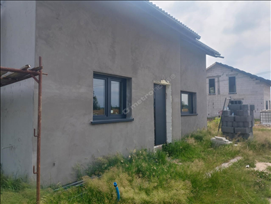 Dom na sprzedaż, Bełchatowski, Drużbice, Rasy