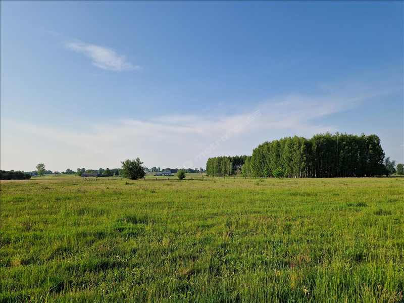 For sale, plot , Siedlecki, Kotuń gm, Żdżar