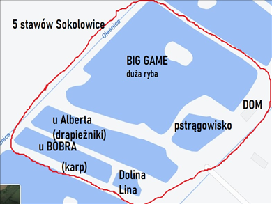Plot   for sale, Oleśnicki, Oleśnica gm, Sokołowice