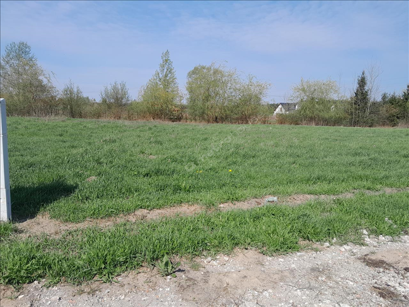For sale, plot , Wyszkowski, Zabrodzie gm, Zazdrość