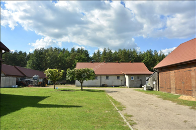 House  for sale, Szczycieński, Szczytno gm, Prusowy Borek