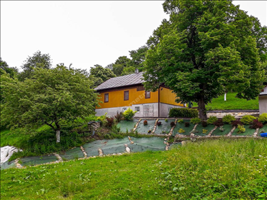 House  for sale, Przemyski, Fredropol, Paportno-Sopotnik