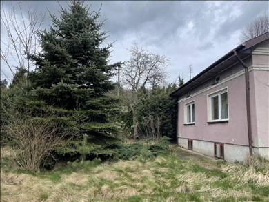 House  for sale, Skierniewicki, Kowiesy gm, Budy Chojnackie